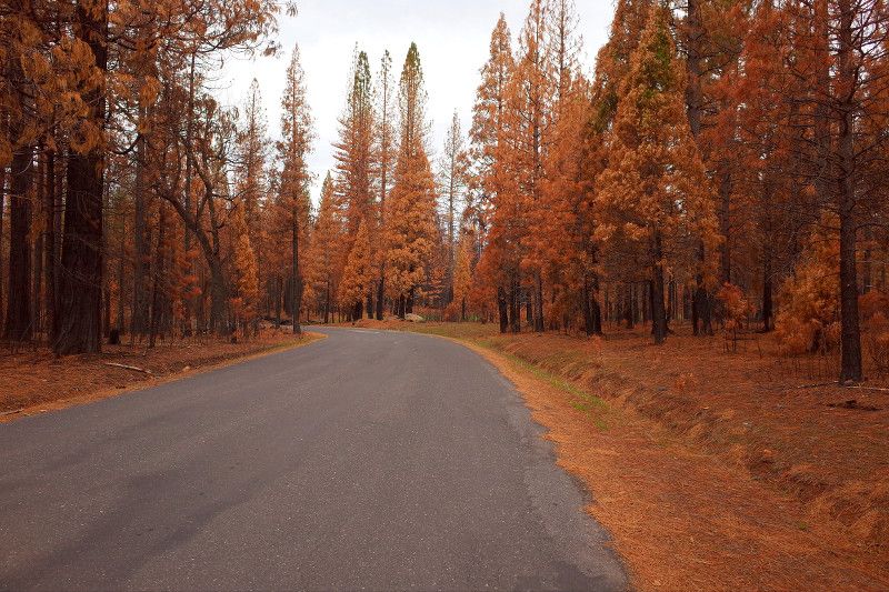 The Immediate Aftermath: Confirmation and On-Scene Reality