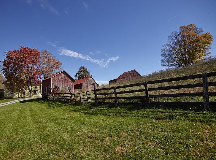 Virginia Home Invasion: Country Star’s Mother Fatally Stabbed; Father Kills Intruder Amid Unanswered Questions