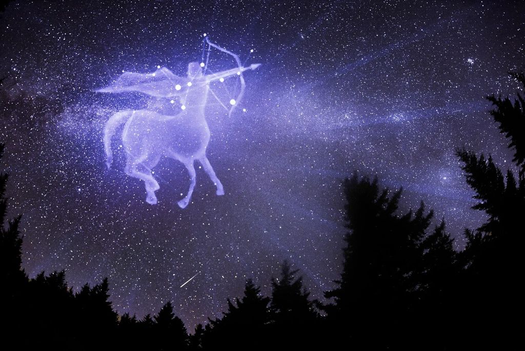 Sagittarius (November 22 - December 19)