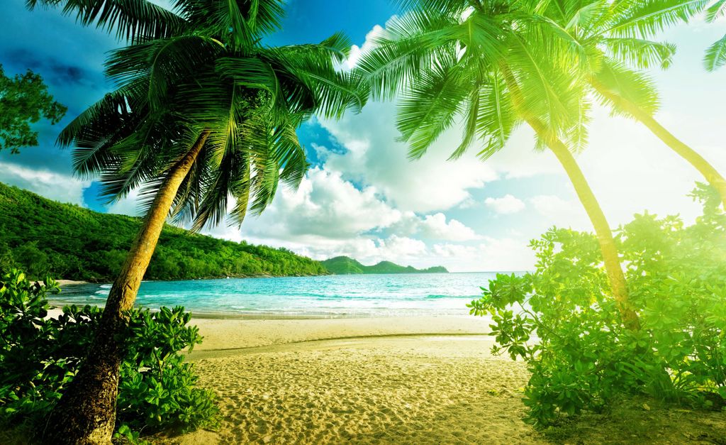 Summer's Annual Resurgence: The Rhythmic Cycle of SPV