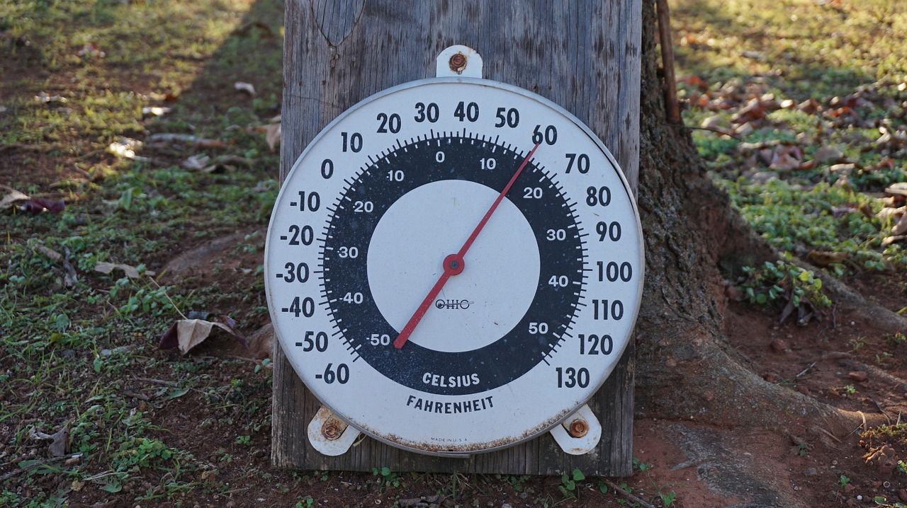 Temperature Variability and Dementia-Associated Hospitalizations