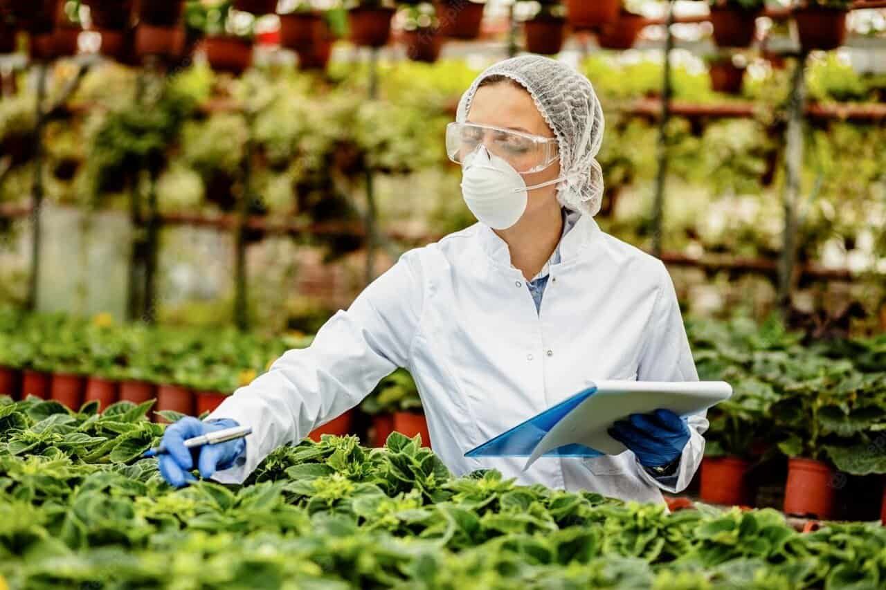 Agricultural Impacts: Runoff, Contamination, and Water Quality Degradation