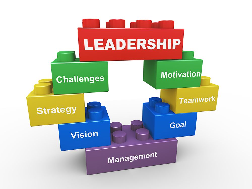 leadership in organizational dynamics