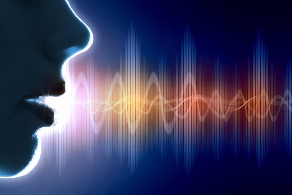 Voice Command Systems
