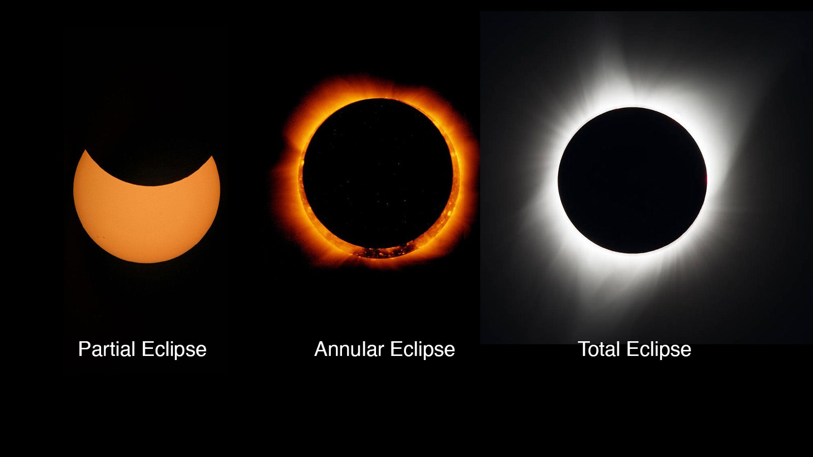 eclipse of the century