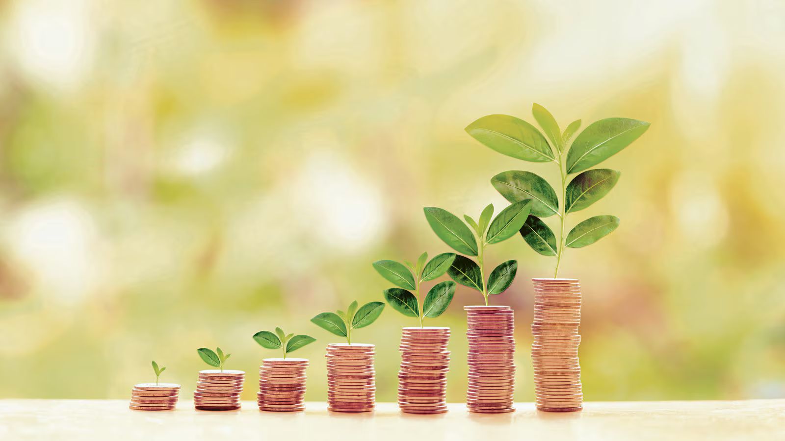 Navigating the Evolving Landscape: New Rules for Student Loan Forgiveness in 2025