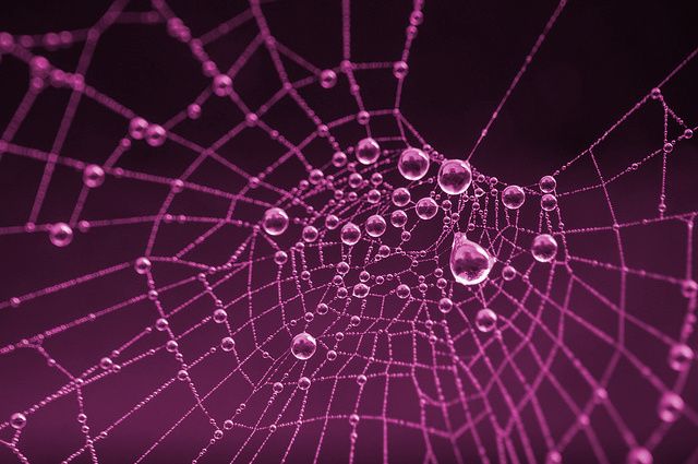 Doxing on the Rise: A Direct Threat to Personal Security