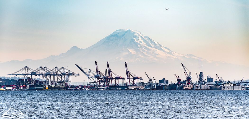 Exporting to Overseas Markets