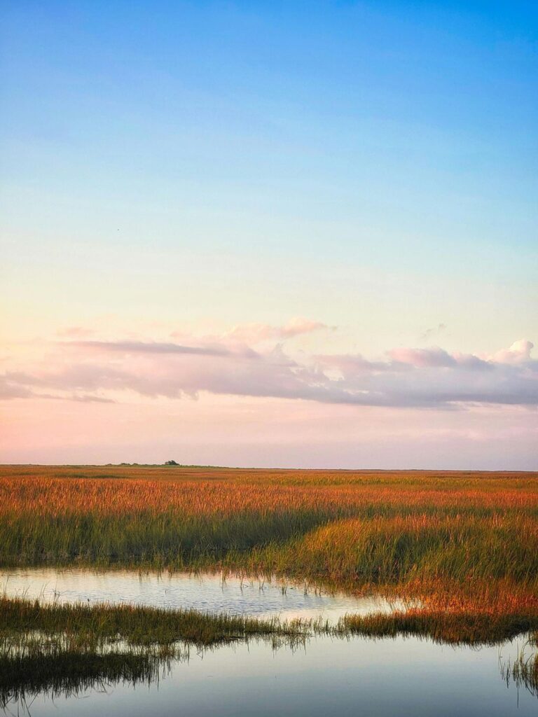 Everglades harsh climate