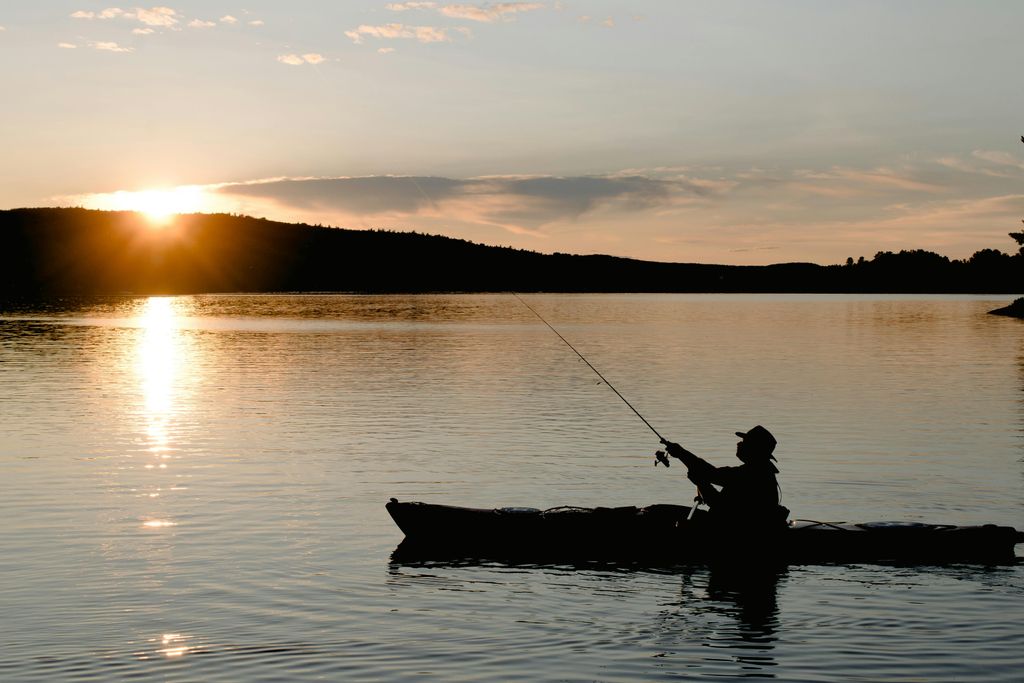 Fishing Trips
