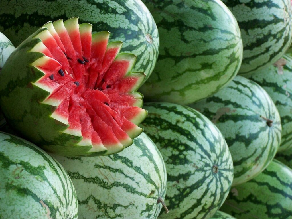 Watermelon in Context: Comparing Fruit Choices for Diabetics