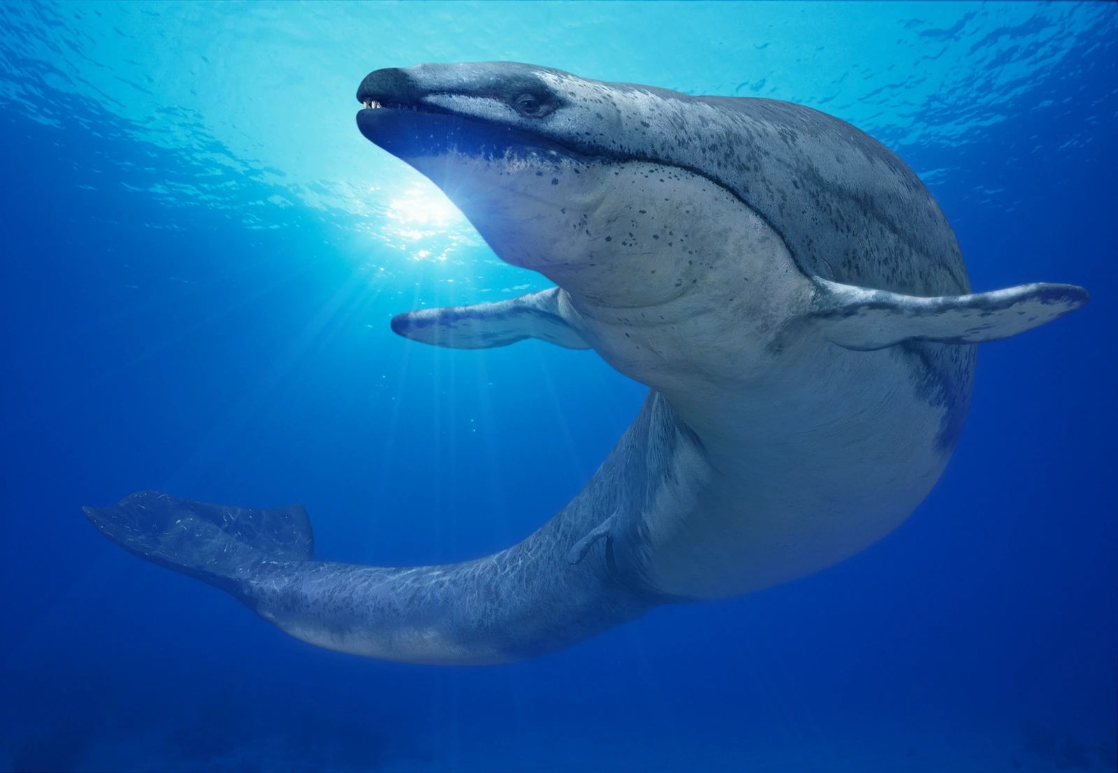 Basilosaurus: The Ancient Whale with a Dagger-Like Smile