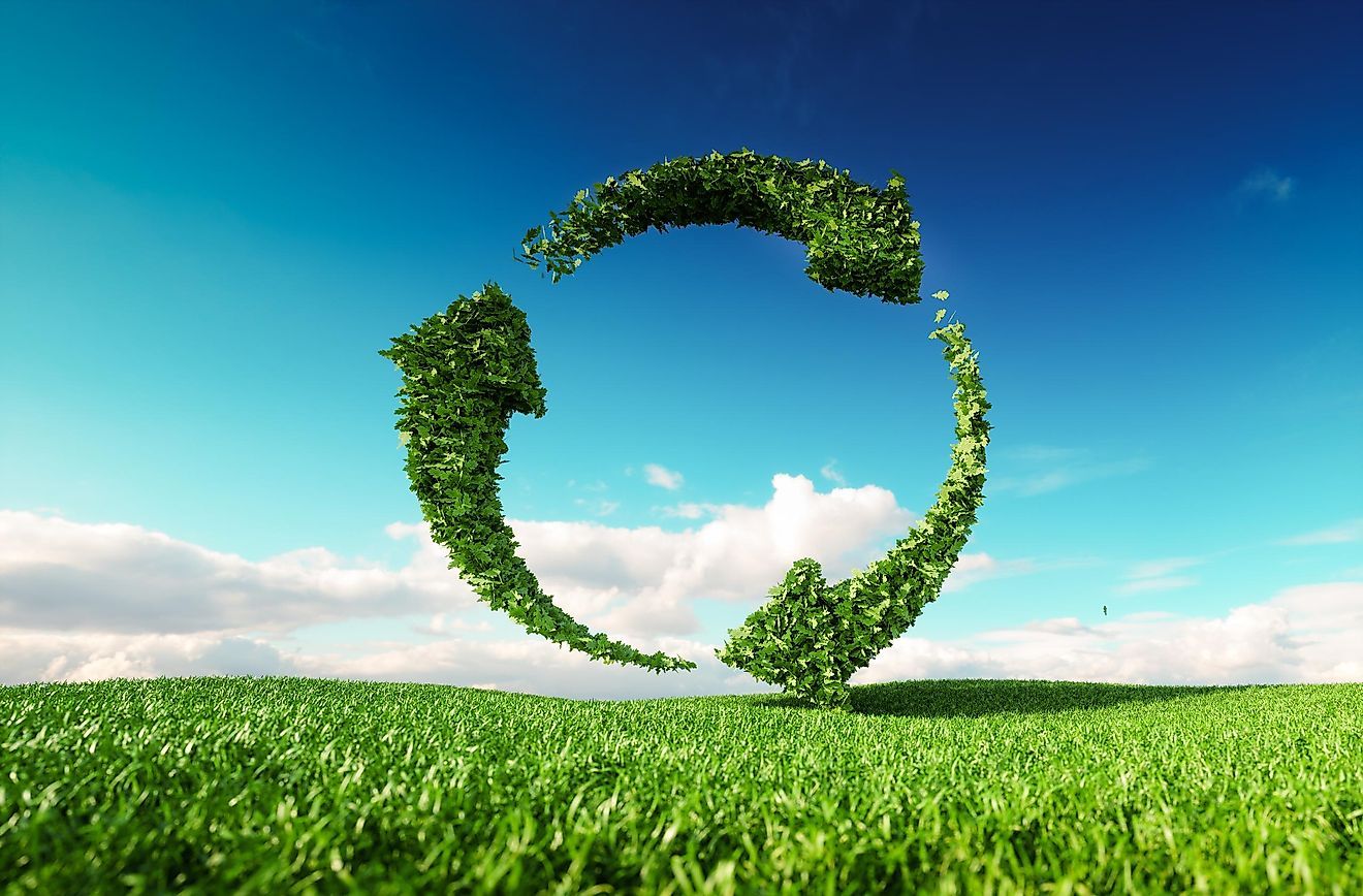sustainability beverage industry