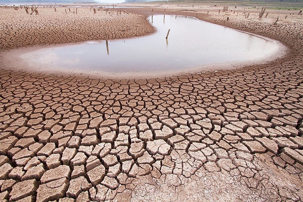 Drought Periods: Dual Impact on Respiratory Health and Mortality