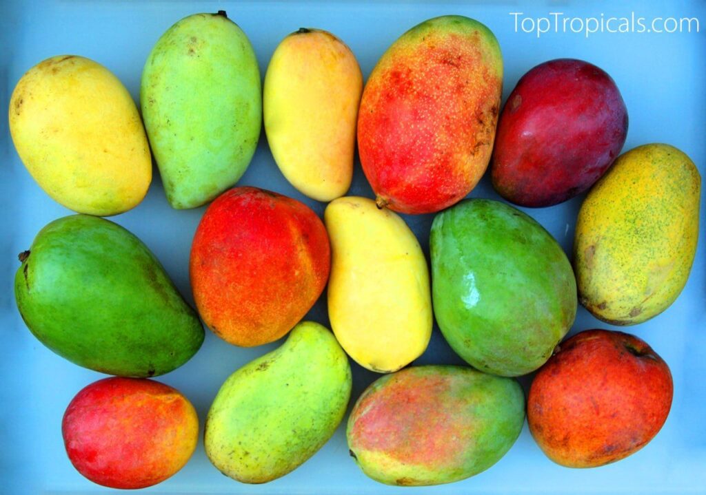 High-Potassium Fruits (Bananas, Oranges, Apricots, Dried Fruits, Avocados)