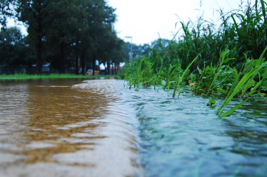Stormwater Infrastructure: Overwhelmed Systems and Water Quality Strain