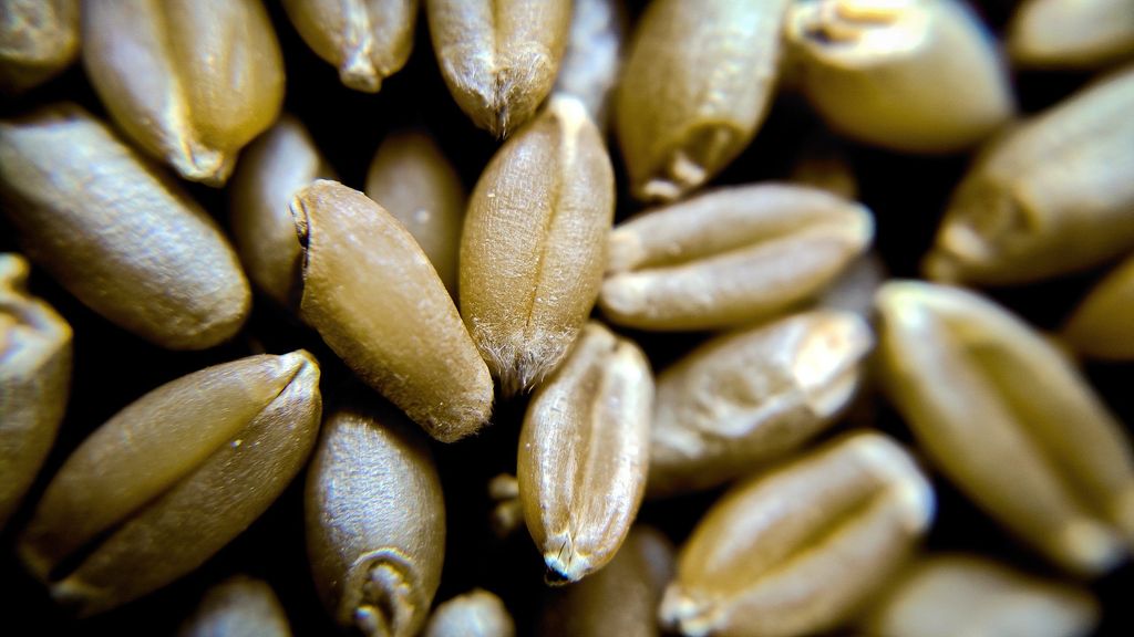 Whole Grains