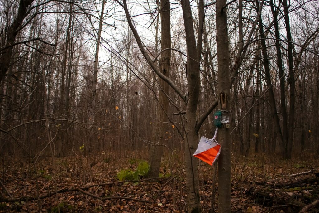 a sign on a tree