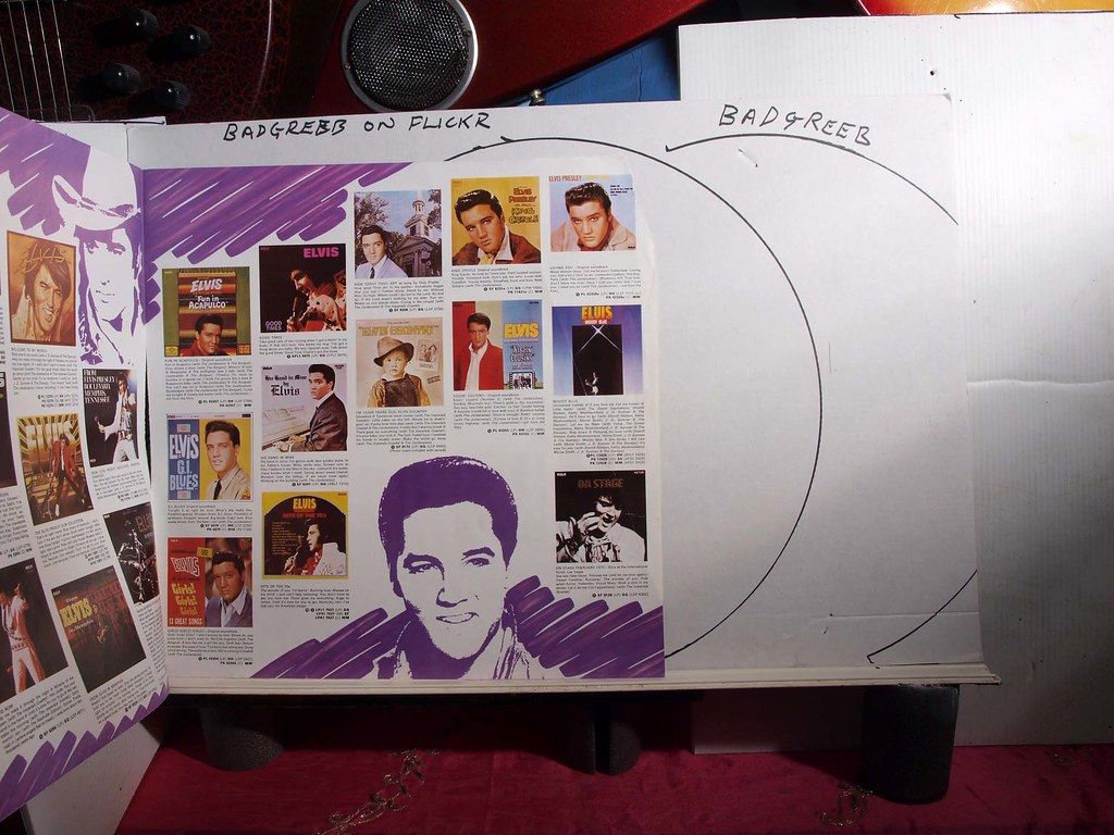 Beyond the Pink: Elvis's