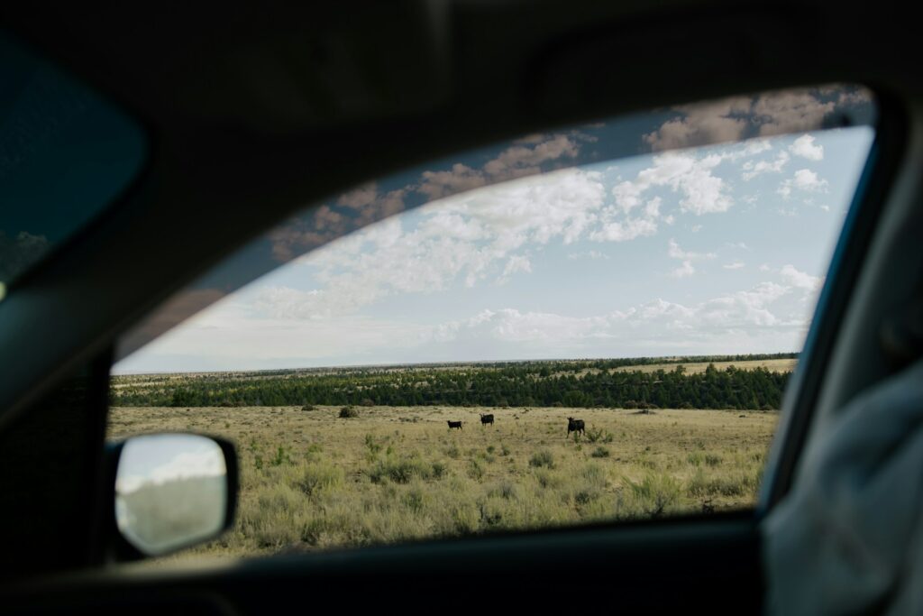 View of landscape through a car window