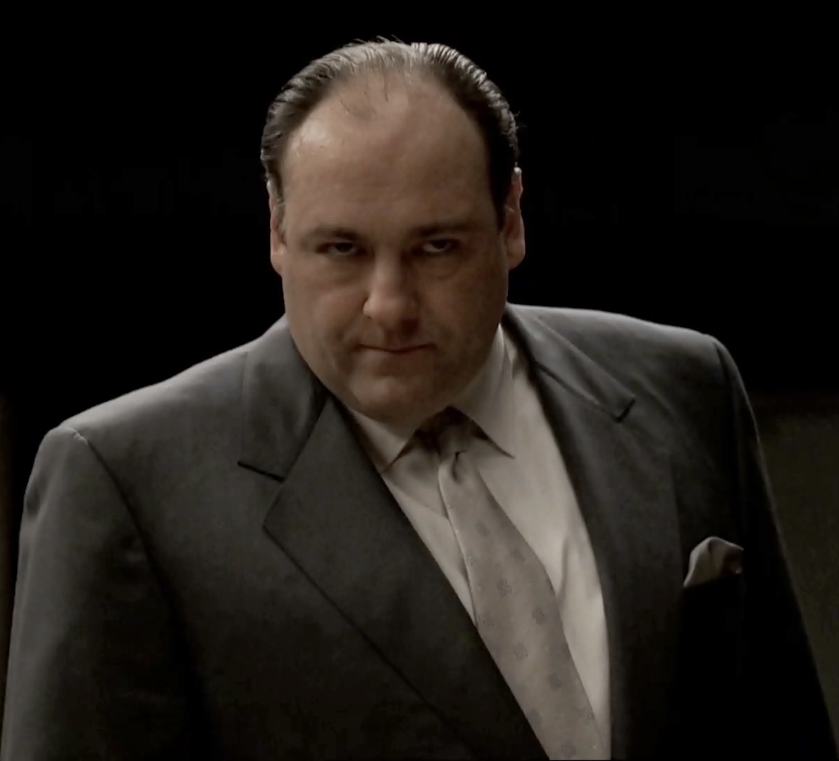 Tony Soprano on The Sopranos