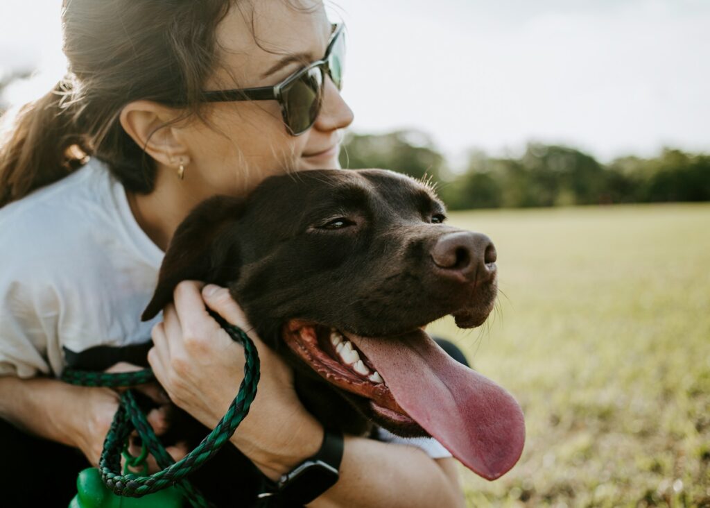 Decoding Canine Discomfort: 7 Surprising Things Humans Do That Dogs Secretly Despise