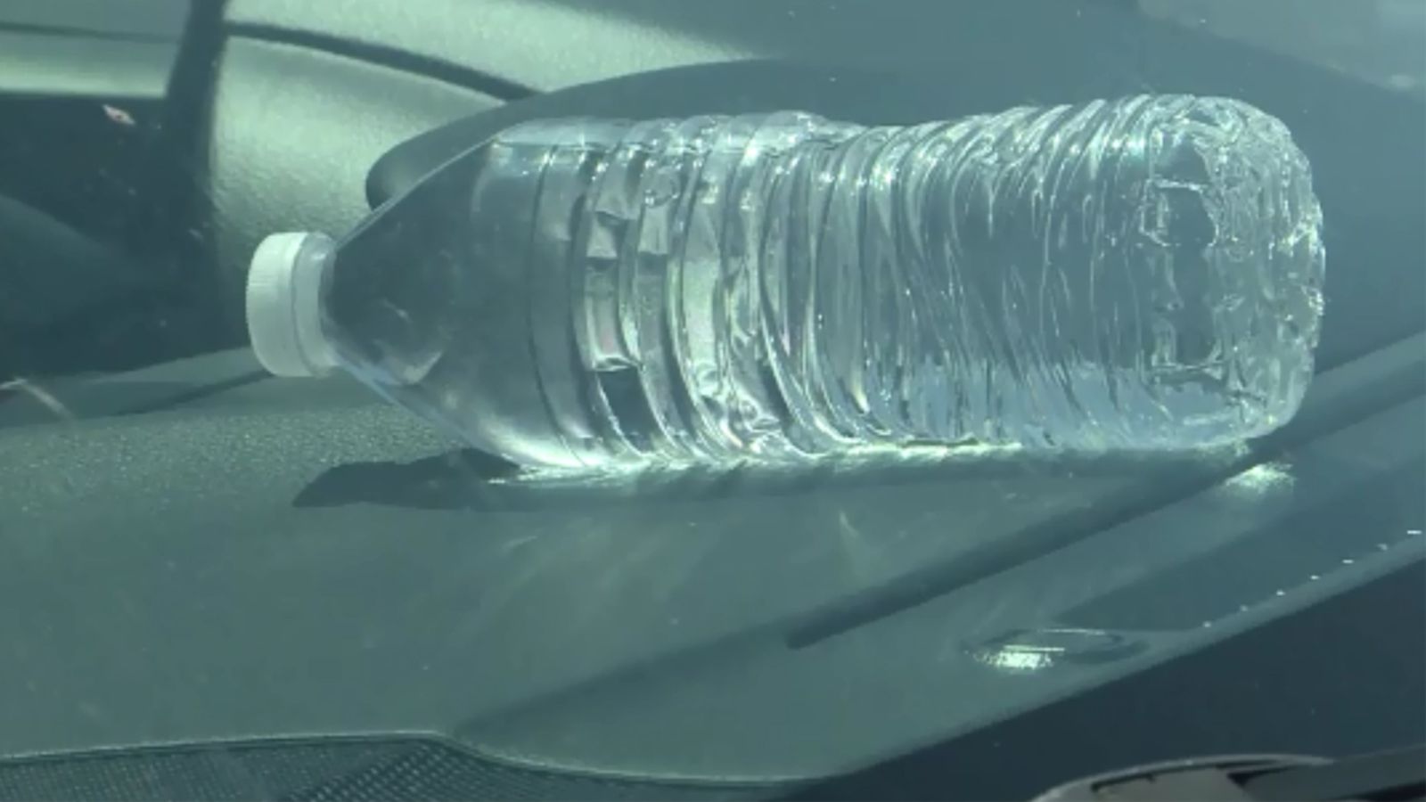 The Hidden Perils of Your Car’s Cupholder: Why That Left-Behind Water Bottle Is a ‘Double-Edged Sword’ for Your Health