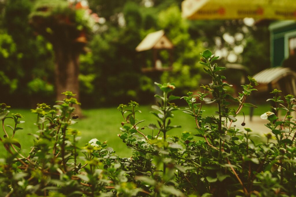 Embrace Spring: Why Starting a Home Garden Will Transform Your Life, Health, and Family Connections