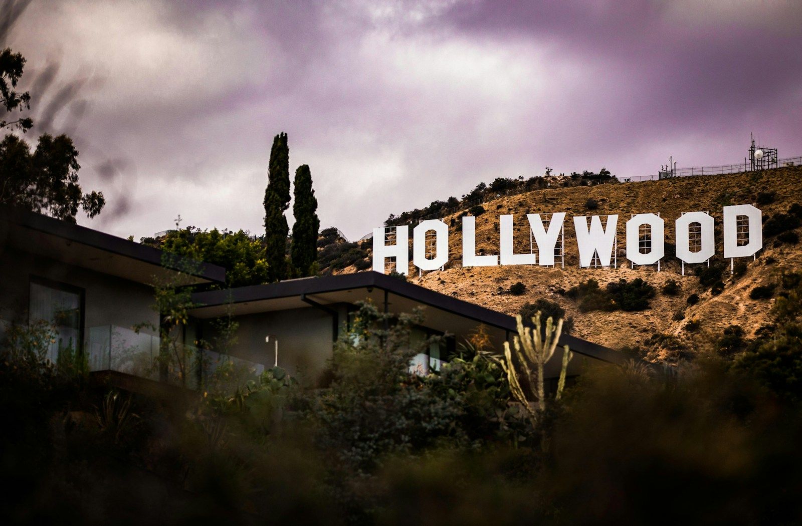 Petite Power: How Hollywood Stars Redefine Presence and Influence