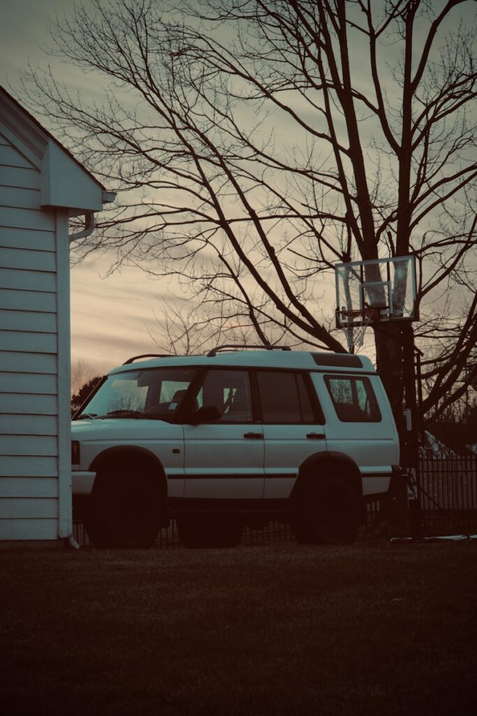 white suv parked beside bare tree during daytime