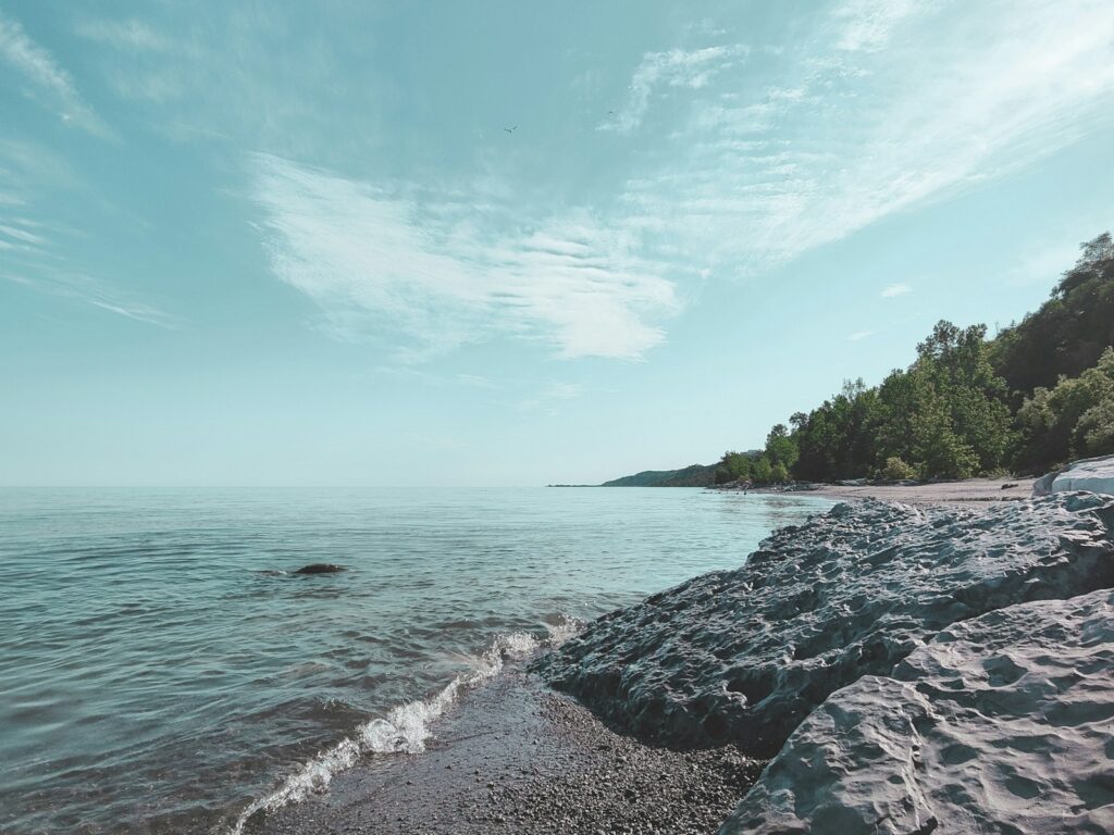 green trees beside body of water under blue sky during daytime