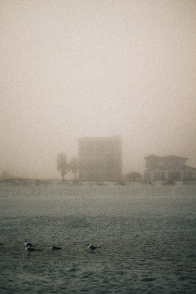 Foggy beach scene with birds and obscured buildings.