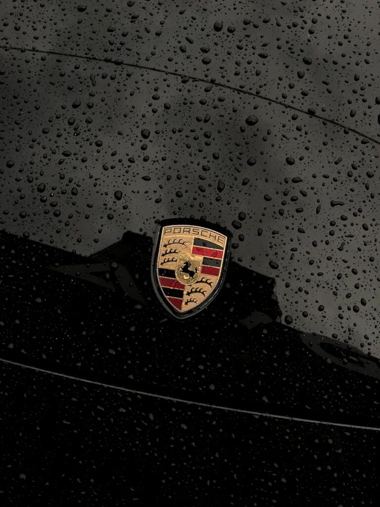 a close up of a porsche emblem on a car