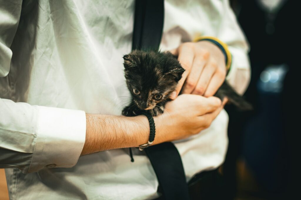 A man holding a small kitten in his lap