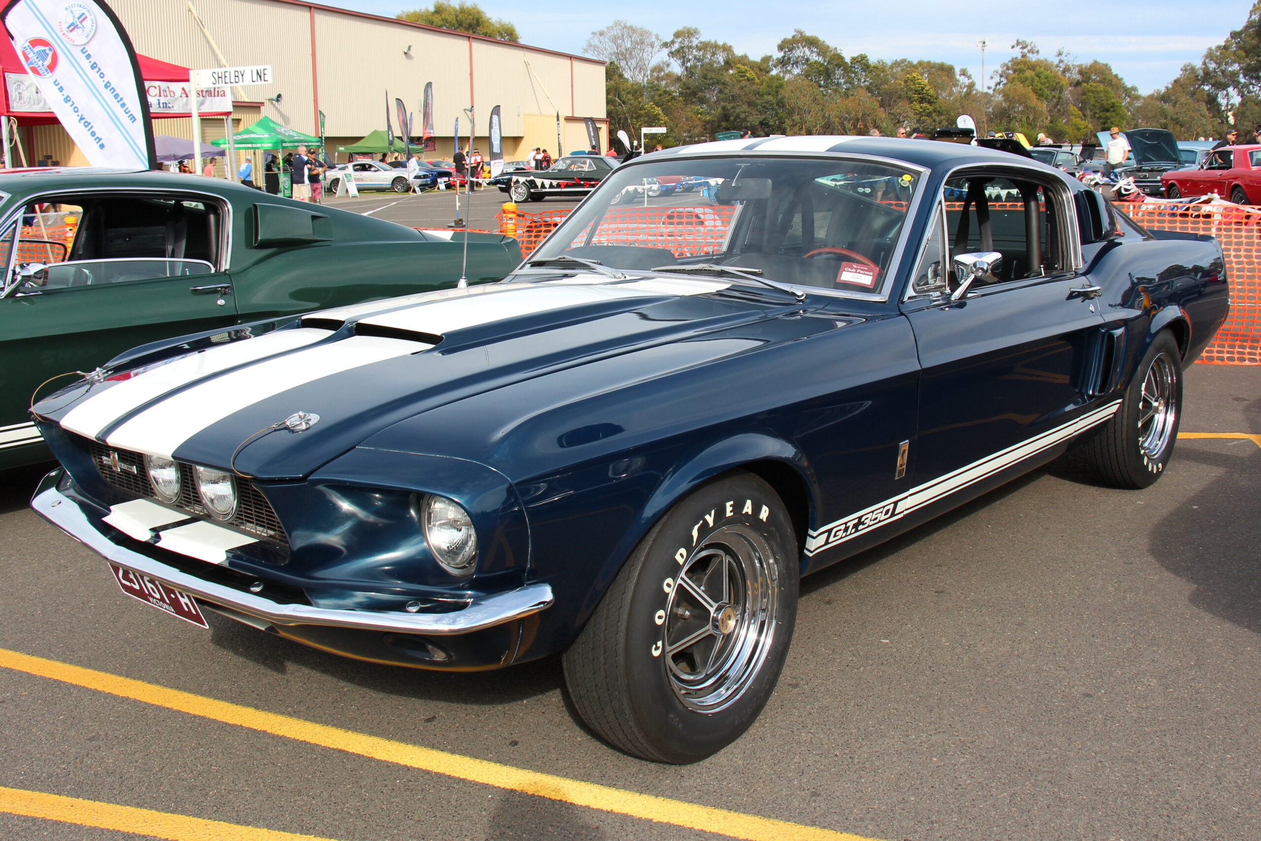 Shelby GT350