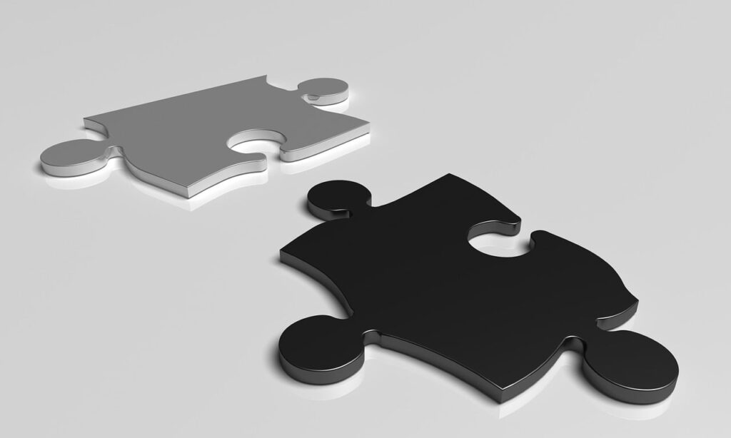 puzzle, black, white, teamwork, piece, problem, metaphor, difference, difference, difference, difference, difference, difference