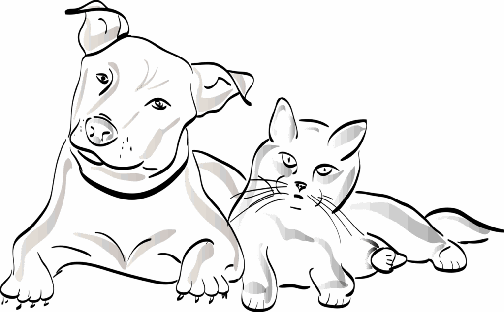 dog, nature, cat, pet, domestic animal, silhouette, animal