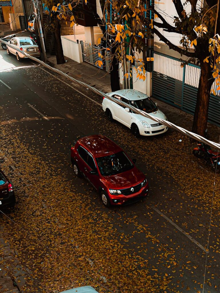 Aerial view of a street covered in autumn leaves with vehicles in Bengaluru, India.