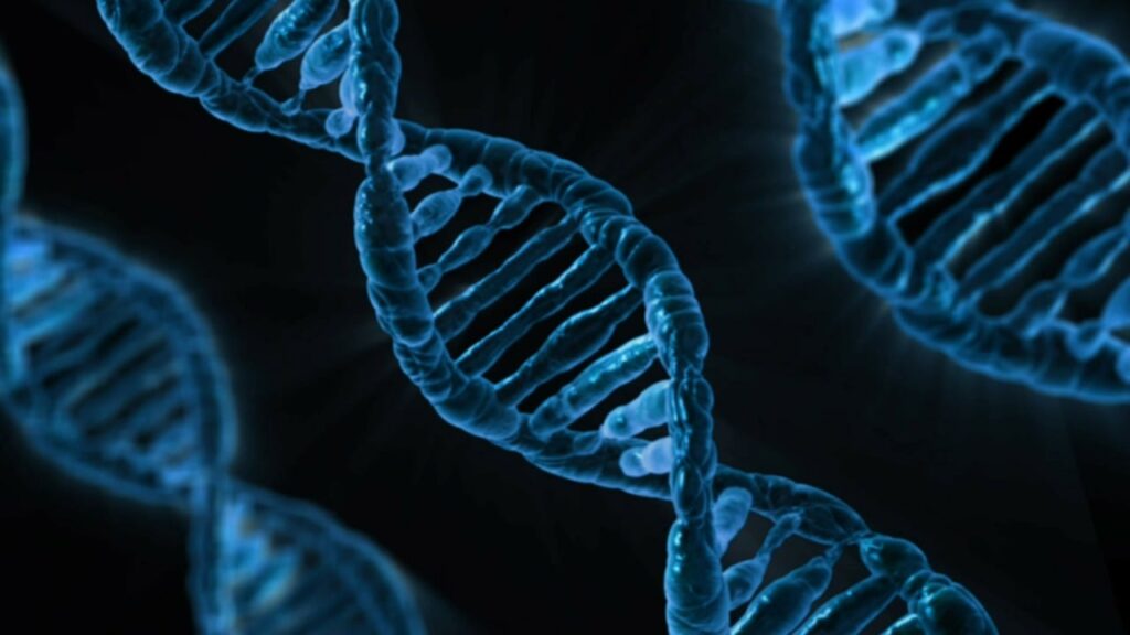 dna, biology, medicine, gene, microbiology, science, genetics, genetic material, laboratory, dna, dna, dna, dna, dna, biology, medicine, gene, science, genetics, laboratory