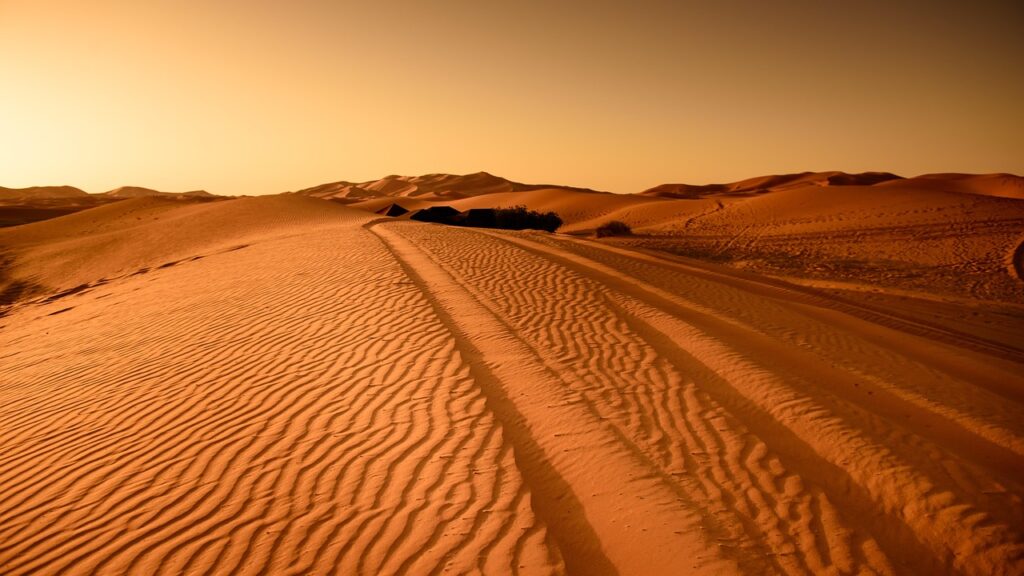 dune, nature, landform, travel, desert, sahara, drought, gobi desert, outdoors