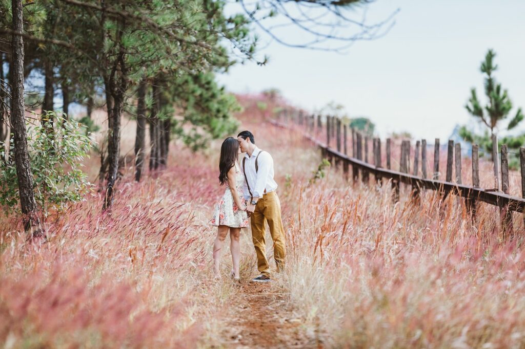 couple, kiss, field, meadow, kissing, holding hands, lovers, affection, affectionate, happy couple, couple kissing, marriage, love, vintage, man, woman, nature, outdoors, rural, countryside, couple, couple, couple, couple, couple, kiss, lovers, lovers, love