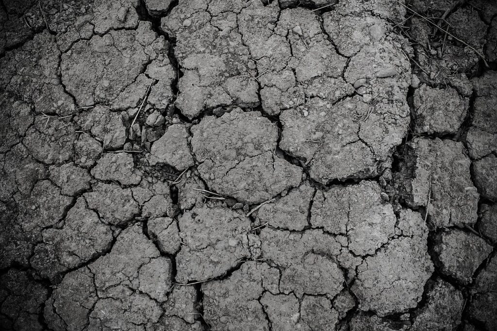 ground, gray, dirt, drought, arid, texture, land, dry, soil, crack, cracked, erosion, dirty, rough, desert, dust, surface, clay, barren, gray texture, gray desert, nature, monochrome, black and white