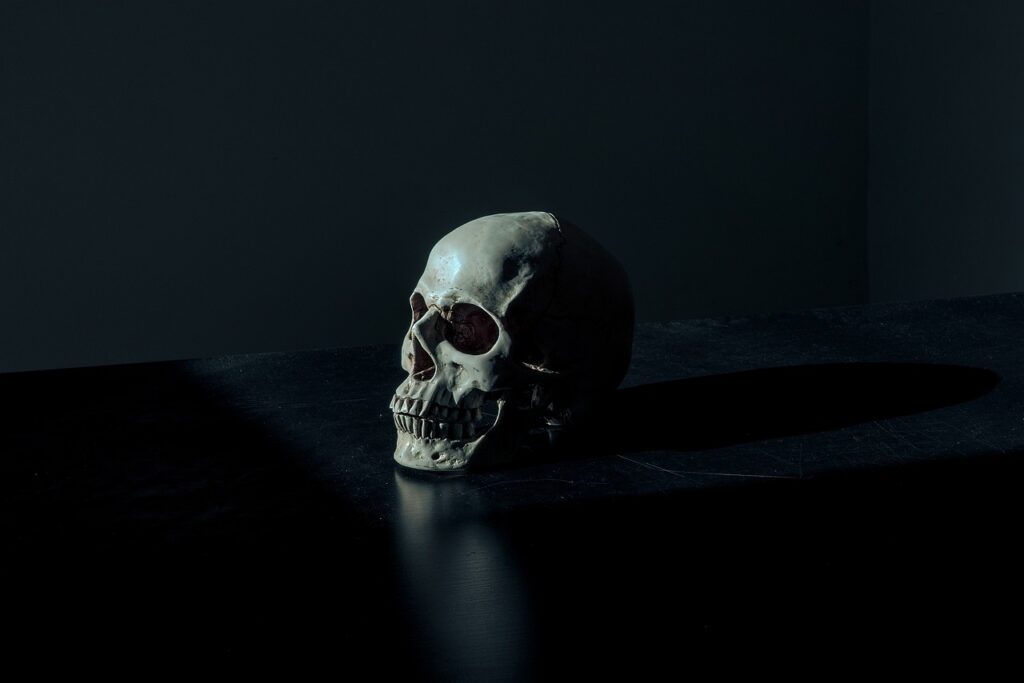 skull, creepy, dark, eerie, scary, dead, human, head, skeleton, halloween