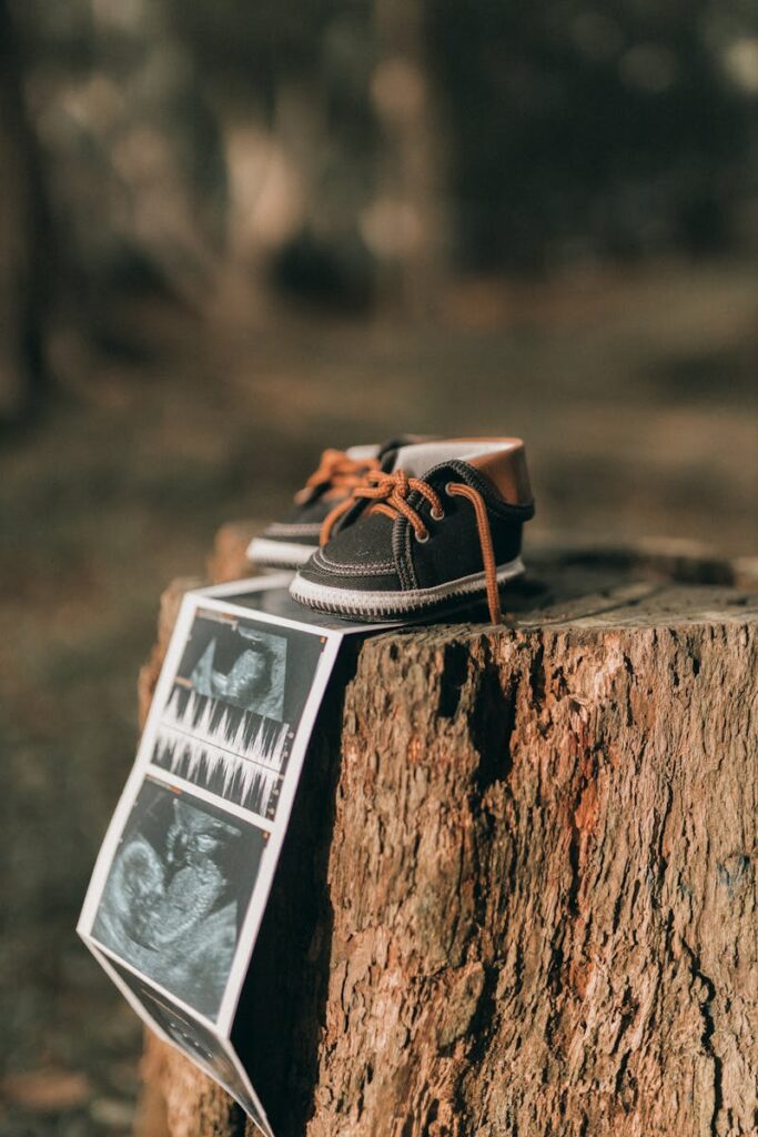 A pair of baby shoes on a tree stump with ultrasound images, symbolizing new life and pregnancy outdoors.