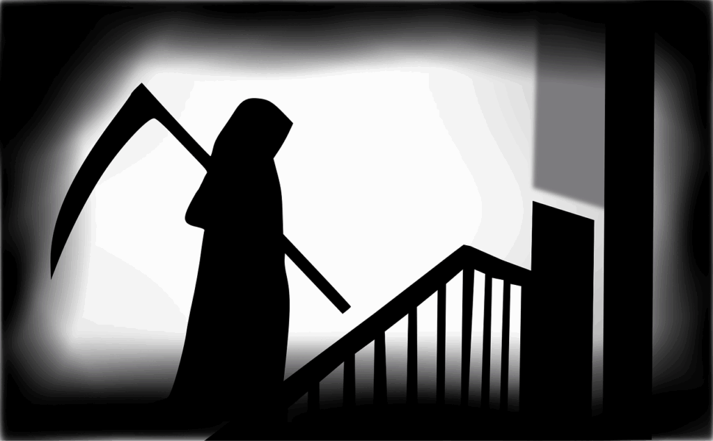 Dipping Your Toes into Terror? Here Are 14 Must-Watch Horror Movies for First-Timers!