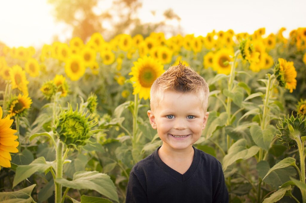 little boy, sunflower field, sunflowers, child, field, happy, nature, kid, childhood, happiness, boy, outdoors, preschooler, sunset, cheerful, caucasian