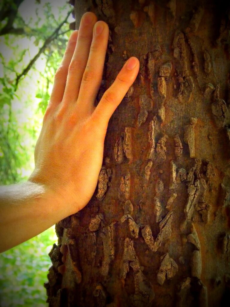 environmentalism, ecology, environment, hand, tree, nature, green