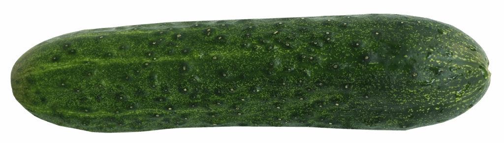 cucumber, food, healthy, meal, garden, raw food, vegetables, cucumber salad, nature, snake pickle, nourishment, salad, isolated