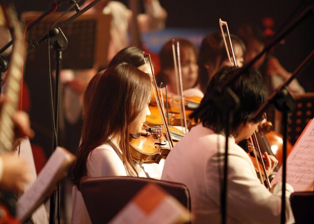orchestra, music, orchestra division, ensemble, played, big band, show, instrument, concert, violin, stringed instruments, orchestra, orchestra, orchestra, orchestra, orchestra
