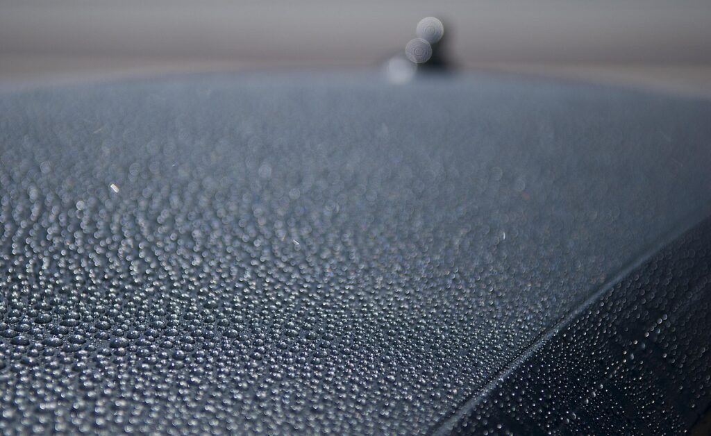 waxed, car, vehicle, automobile, clean, waxing, worker, wash, wax, garage, detailing, cleaning, polish, shiny, car wallpapers, sponge, automotive, gloss, job, polishing, work, hand, repair, wiping, dirty, beading, blue car, blue job, blue garage, blue clean